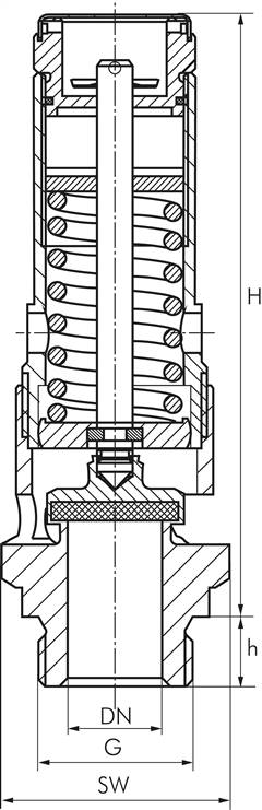 TÜV-Hochleist.-Sicherheitsventil G 1-1/4"(2,5bar) Messing