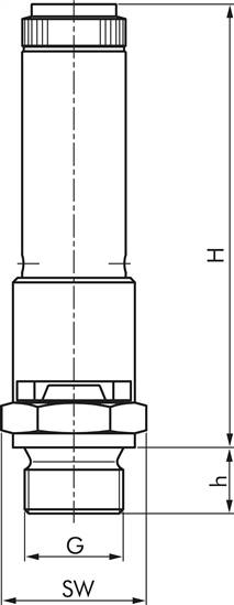 TÜV-Sicherheitsventil G 3/8" (DN8), 50,00 bar, Messing