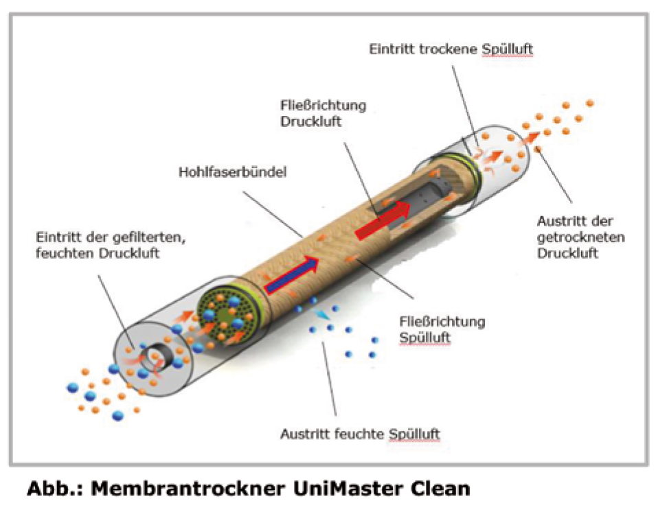 Compressore Schneider UNM 360-8-40 WXM Clean - oil-free con essiccatore a membrana DGKH342010